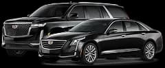 Executive Sedans and Premium SUVs